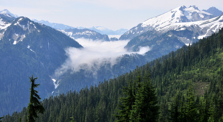 Fog in the valley