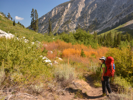 Judit hiking towards the Roaring River ranger station