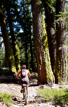 Judit riding