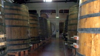 Casks at Bodega López