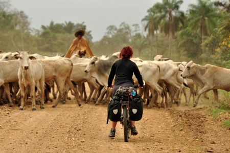 Roadblock