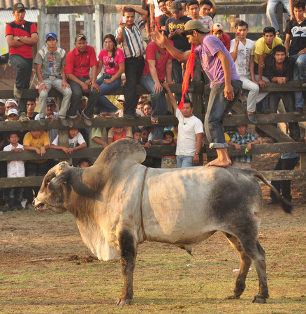 The star of the Rodeo