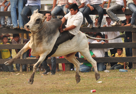 Pretty wild action