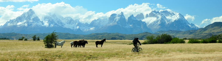 Torres del Paine massif and prairie