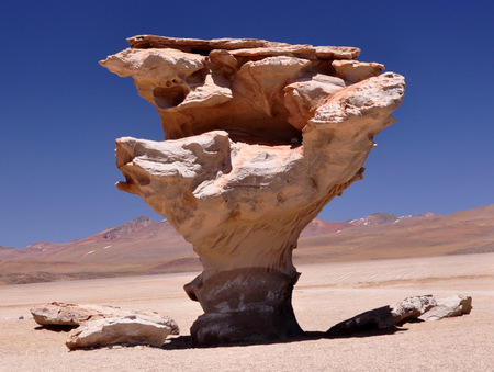 Árbol de Piedra